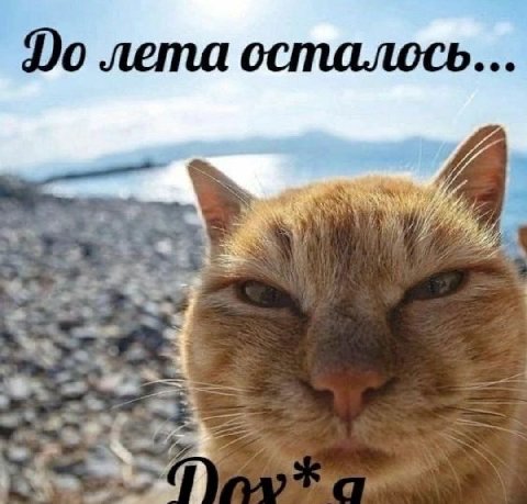 лета осталось... a 5. a