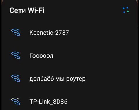 Сети WI-FI Кеепейс-2787 долбаеб мы роутер TP-Link_8D86