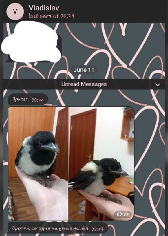 Vladislav last seen at 00:29 9 Unread Messages Привет 00:22 4 CmoT сегодня i