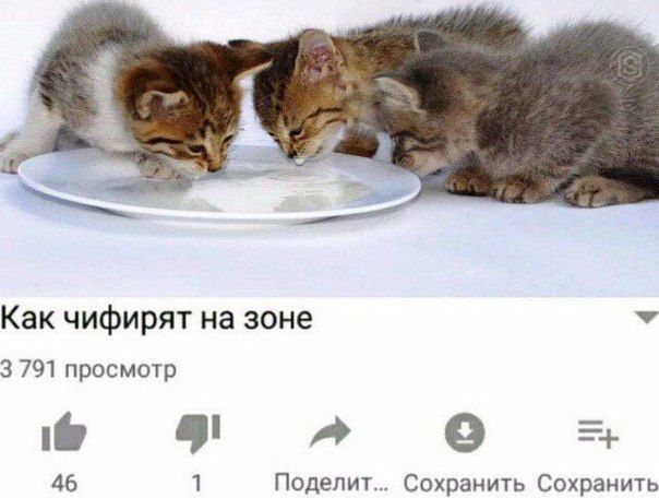 Как чифирят на зоне 3 791 просмотр a 46 1 Поделит... Сохранить Сохранить
