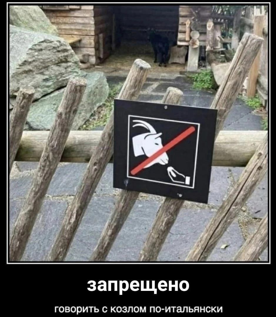 Me у запрещено говорить с козлом по-итальянски
