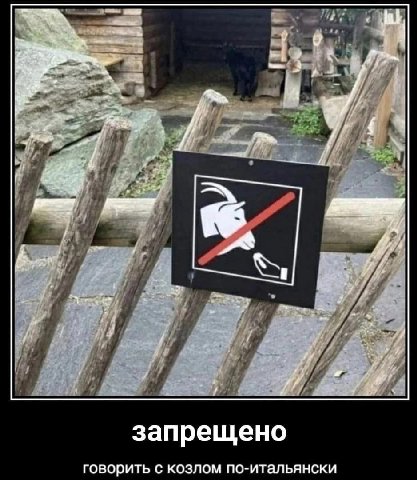 Me у запрещено говорить с козлом по-итальянски