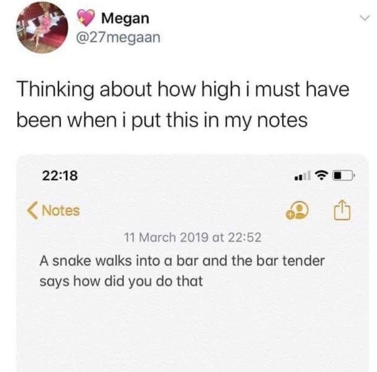 Megan @27megaan Thinking about how high i must have been when i put this in my notes 22:18 ale Notes 11 March 2019 at 22:52 A snake walks into a bar and the bar tender says how did you that