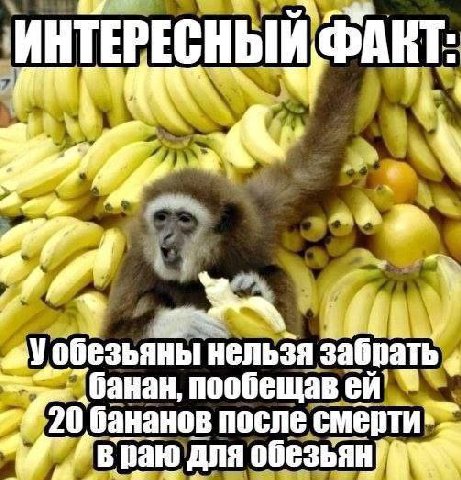 AKT у нельзя я забрать банан, пообещав 20 бананов после в раю’дляо