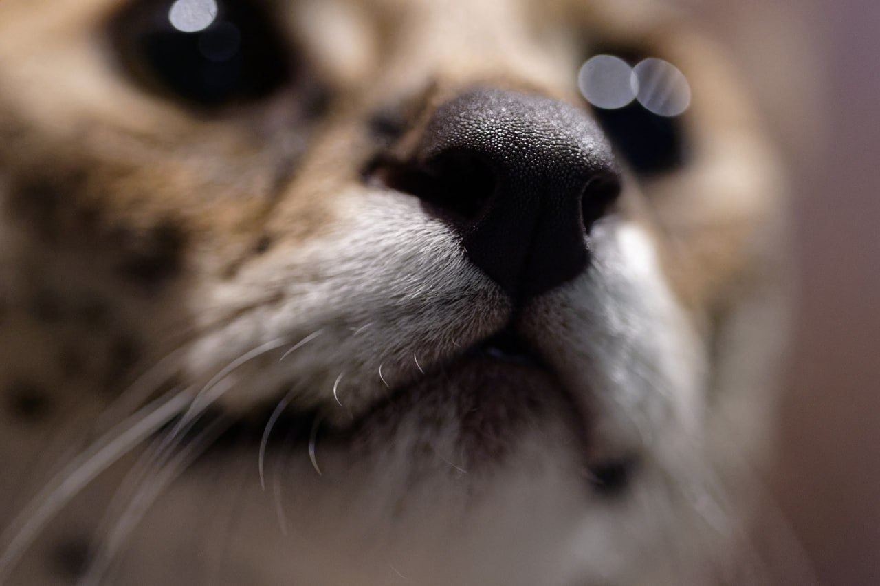 at
