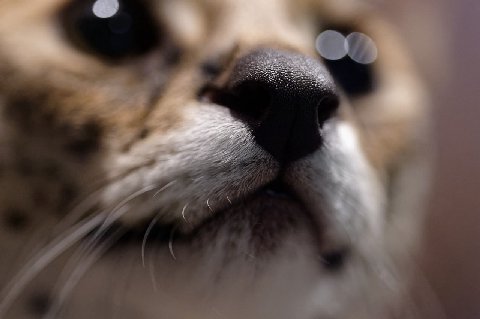 at