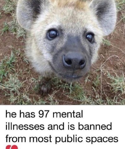 i у A he 97 mental illnesses and is banned from most public spaces