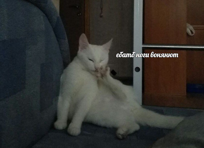ебатб ноги бонянют