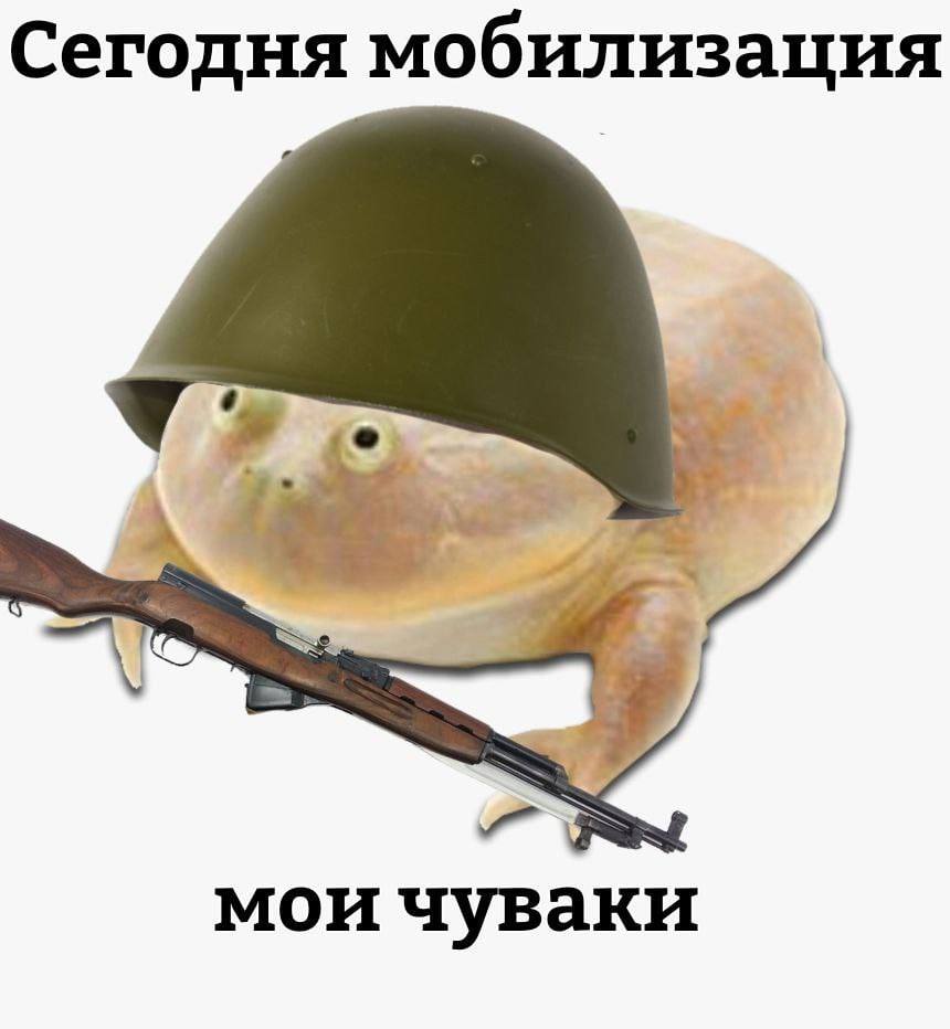 Сегодня мобилизация A мои чуваки