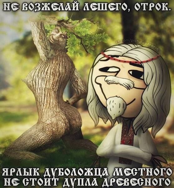 НЕ ОТРОК. ЯРЛЫК НЕ СТОИТ ДУПЛА ДРЕВЕСНОГО.