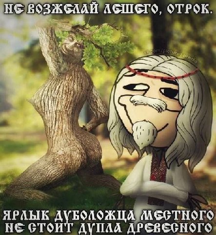 НЕ ОТРОК. ЯРЛЫК НЕ СТОИТ ДУПЛА ДРЕВЕСНОГО.
