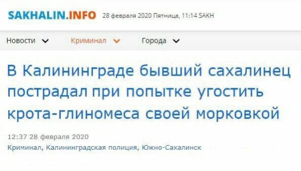 SAKHALIN.INFO 28 февраля 2020 Пятница, 11:14 SAKH Новости Криминал Города В Калининграде бывший сахалинец пострадал при попытке угостить крота-глиномеса своей морковкой 12:37 28 февраля 2020 Криминал,