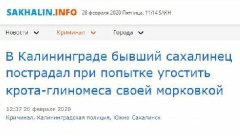 SAKHALIN.INFO 28 февраля 2020 Пятница, 11:14 SAKH Новости Криминал Города В Калининграде бывший сахалинец пострадал при попытке угостить крота-глиномеса своей морковкой 12:37 28 февраля 2020 Криминал,