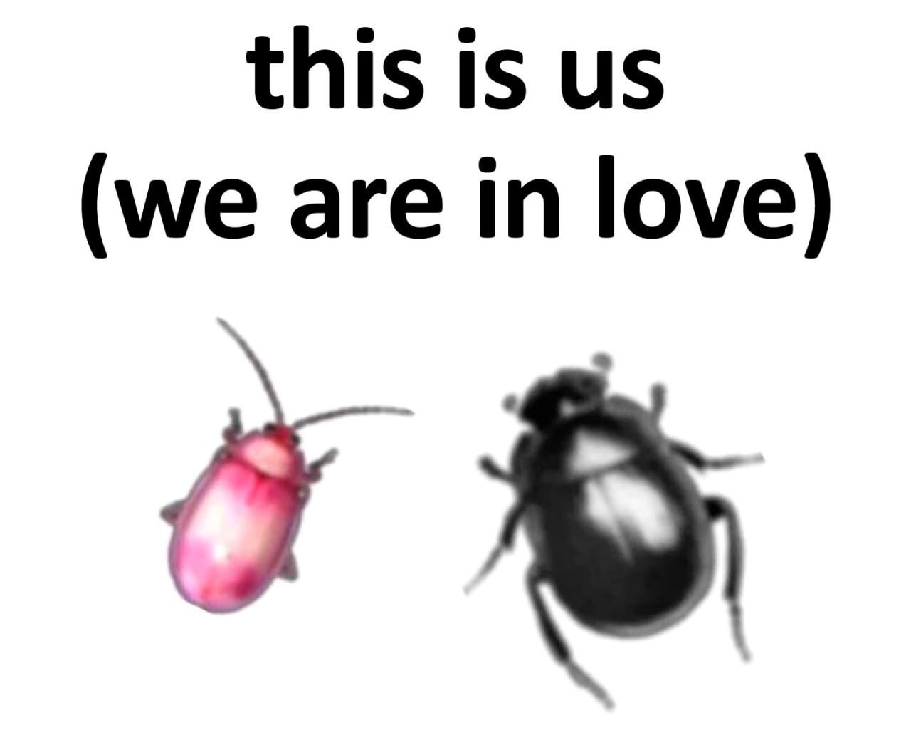 this is (we are in love)