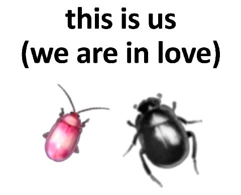 this is (we are in love)