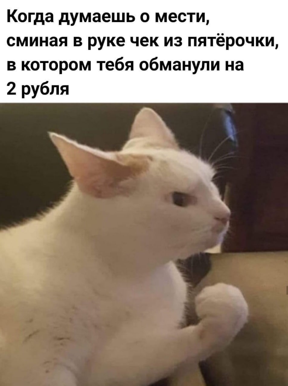 Когда думаешь о мести, сминая в руке чек из пятёрочки, в котором тебя обманули на 2 рубля