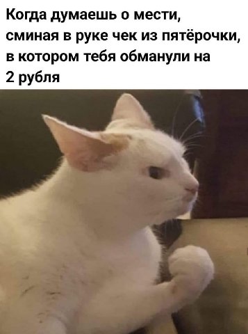 Когда думаешь о мести, сминая в руке чек из пятёрочки, в котором тебя обманули на 2 рубля