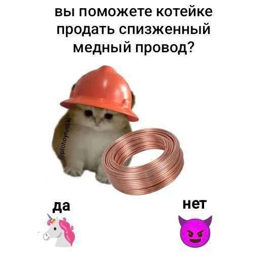 вы поможете котейке продать спизженный медный провод? 4 4 да нет