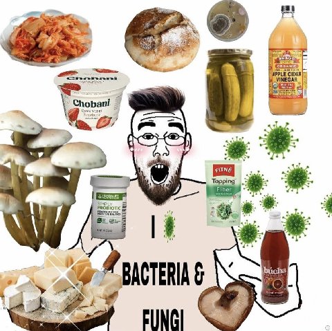 2 CIDE INEGAR Choba fogurt Topping PROBIOTIC BACTERIA
