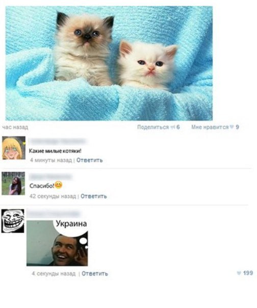 час назад Поделиться 5 Мне 9 Какие милые котяки! минуты назад Ответить Спасибо! В 2 секунды назад Ответить Украина секунды Ответить 199