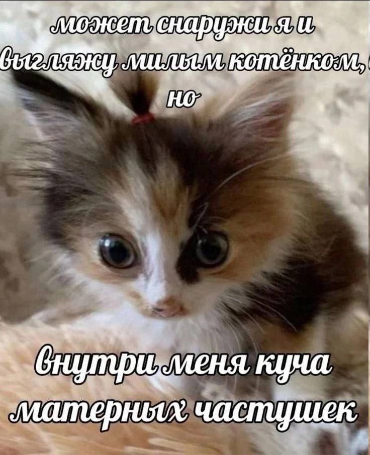 куча