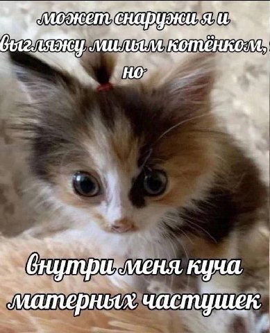 куча