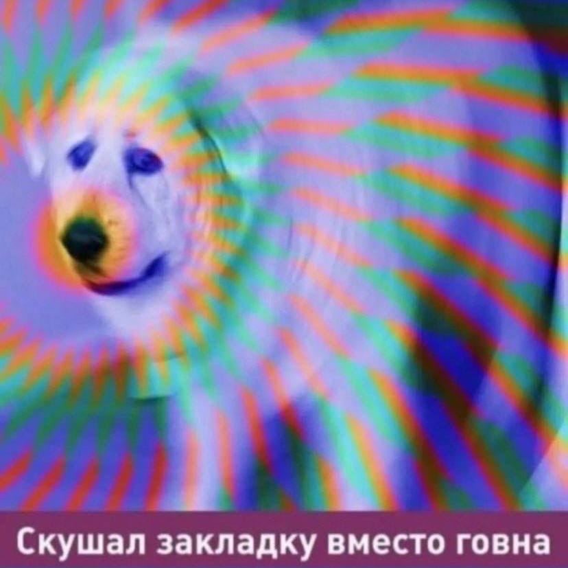 Скушал закладку вместо говна