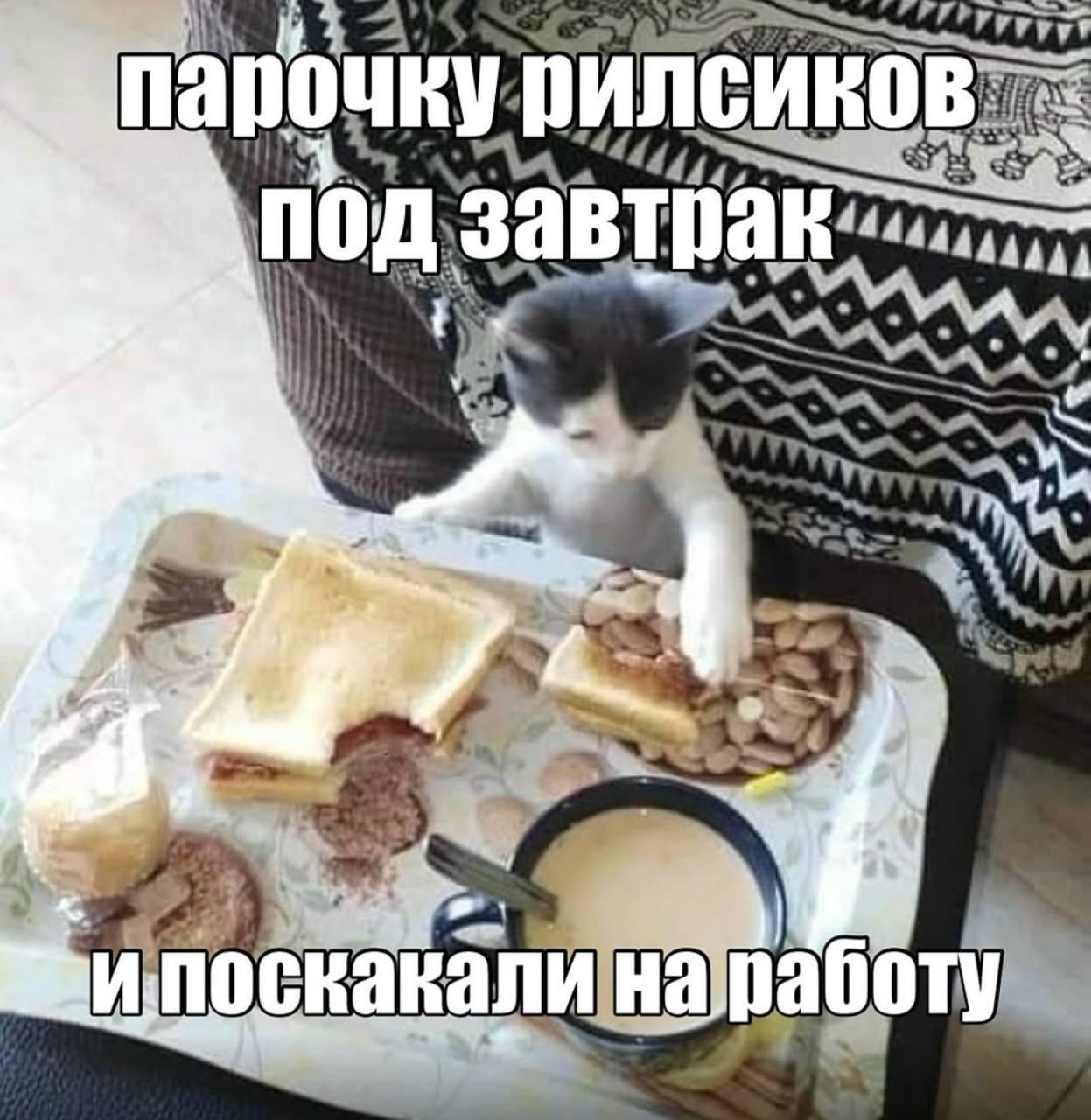 парочку под. завтрак: и
