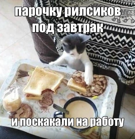 парочку под. завтрак: и