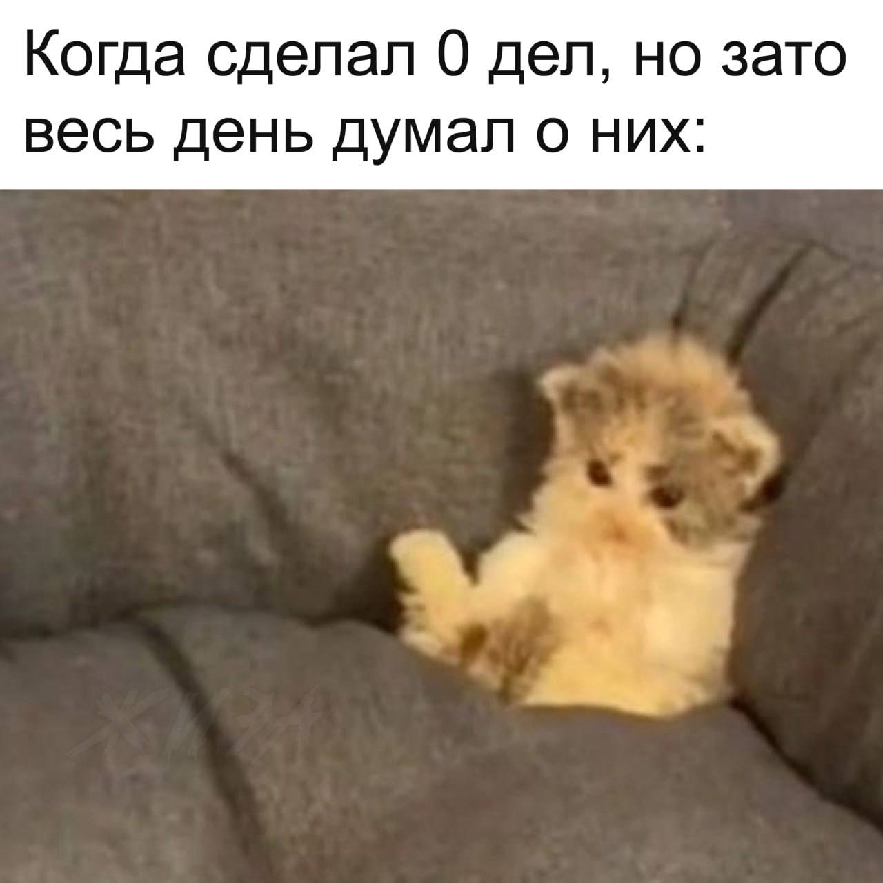 Когда сделал 0 дел, но зато весь день думал о них: