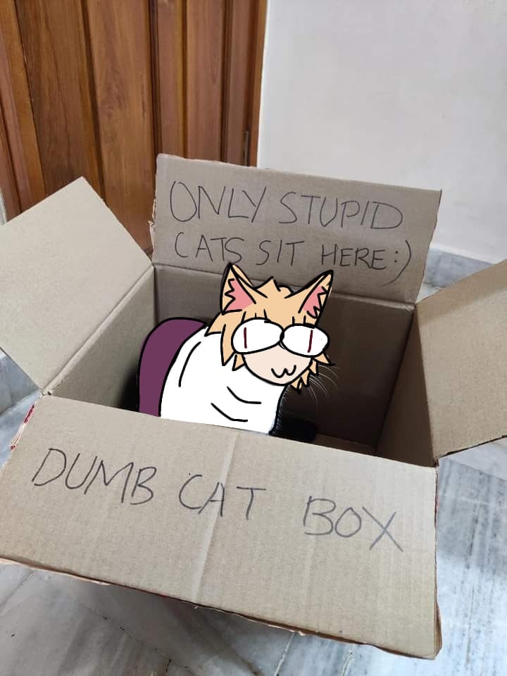 Boy