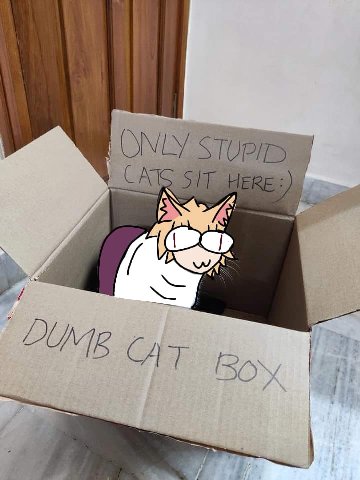 Boy