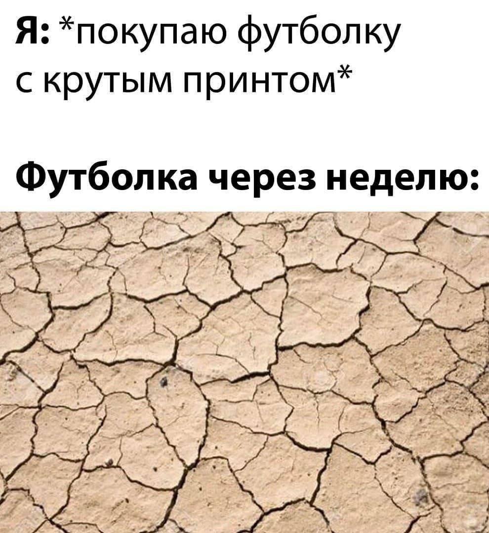 Я: *покупаю футболку с крутым принтом Футболка через неделю: “7