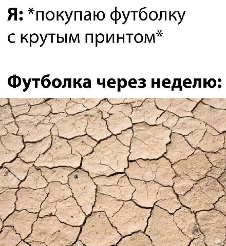 Я: *покупаю футболку с крутым принтом Футболка через неделю: “7