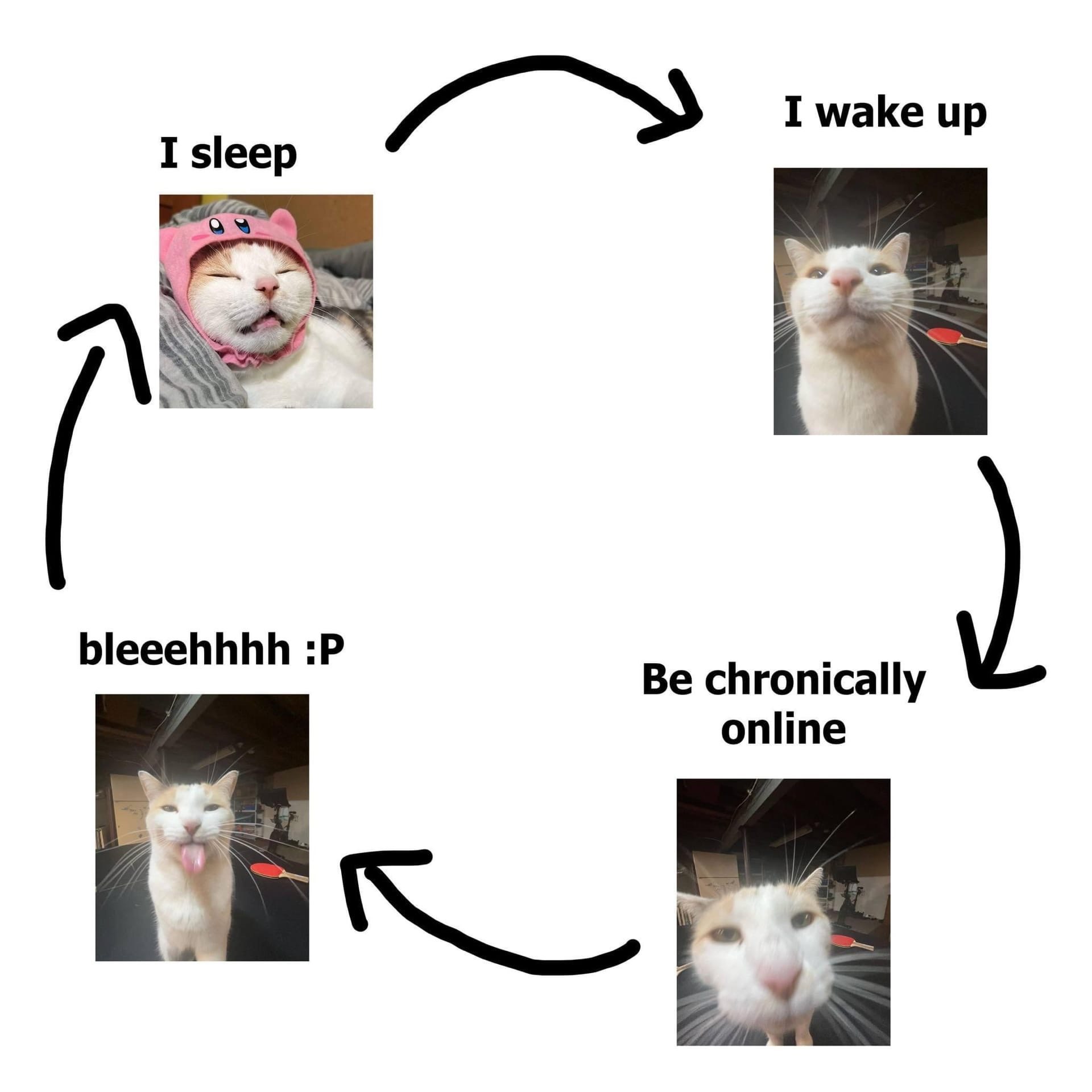 I wake up I sleep bleeehhhh eee Be chronically online 4