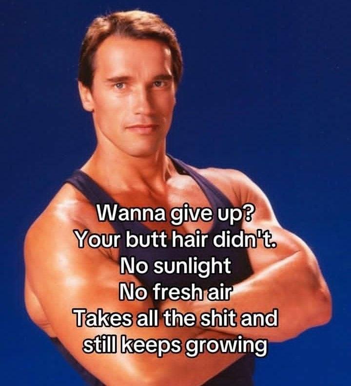 \Маппа give Your butt hair didn't? No fresh air Takes all the shit and growing