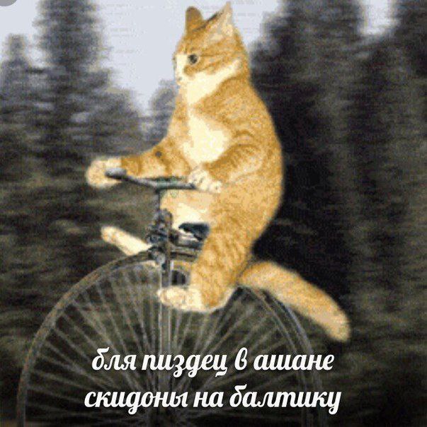 для пиздец 6 ашане скидоны на баллику