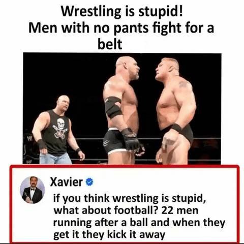 Wrestling is stupid! Men with no pants fight for a belt Xavier if you think wrestling is stupid, what about football? 22 men running after a ball and when they get it they kick it away
