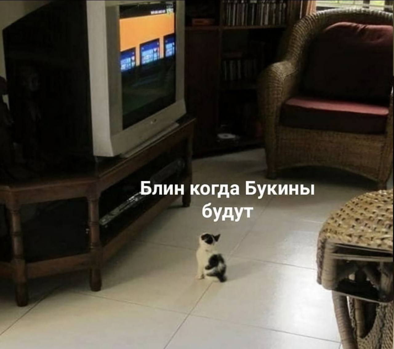 Блин когда Букины будут