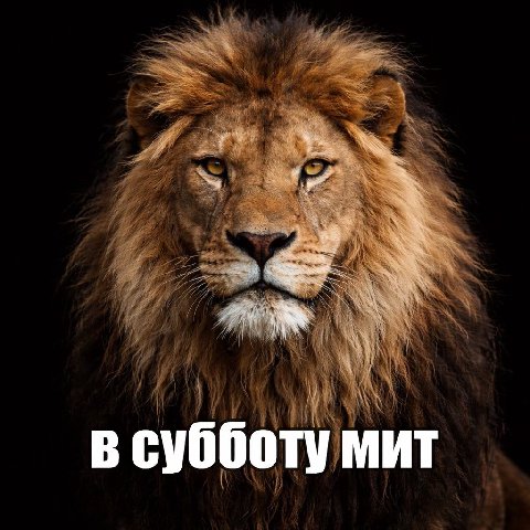 в субботу мит