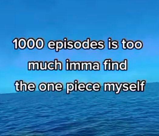 1000 episodes is too much imma find the one piece myself