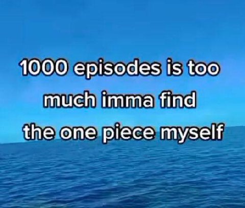 1000 episodes is too much imma find the one piece myself