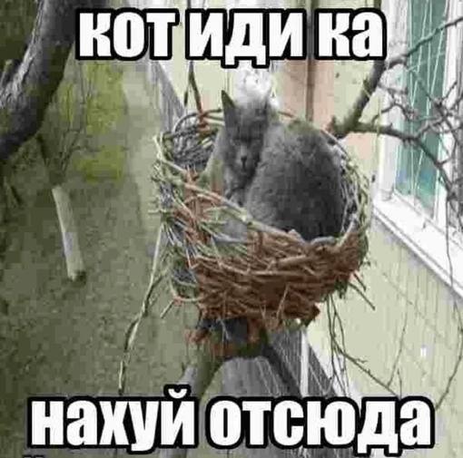 нахуи отсюда