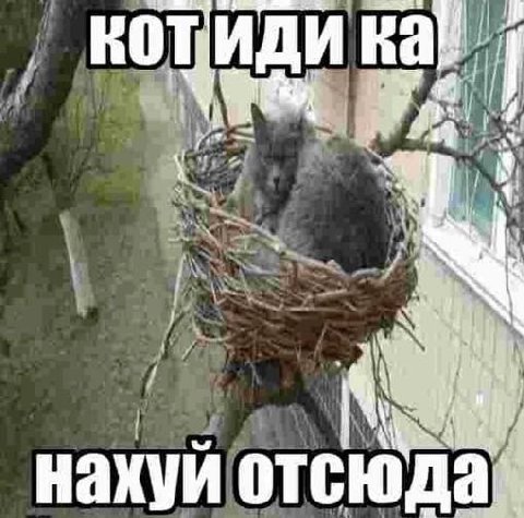 нахуи отсюда