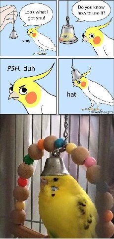 you know Look what how to use it? (A got you! omg PSH. duh hat chicken thoughts