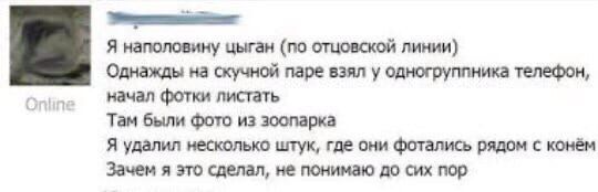 Я наполовину цыган (по отцовской линии) Однажды на скучной паре взял у одногруппника телефон, начал фотки листать Там были Фото из зоопарка Я удалил несколько штук, где они фотались рядом с конём Заче