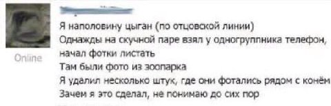 Я наполовину цыган (по отцовской линии) Однажды на скучной паре взял у одногруппника телефон, начал фотки листать Там были Фото из зоопарка Я удалил несколько штук, где они фотались рядом с конём Заче