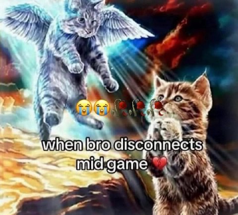 у. disconne cts