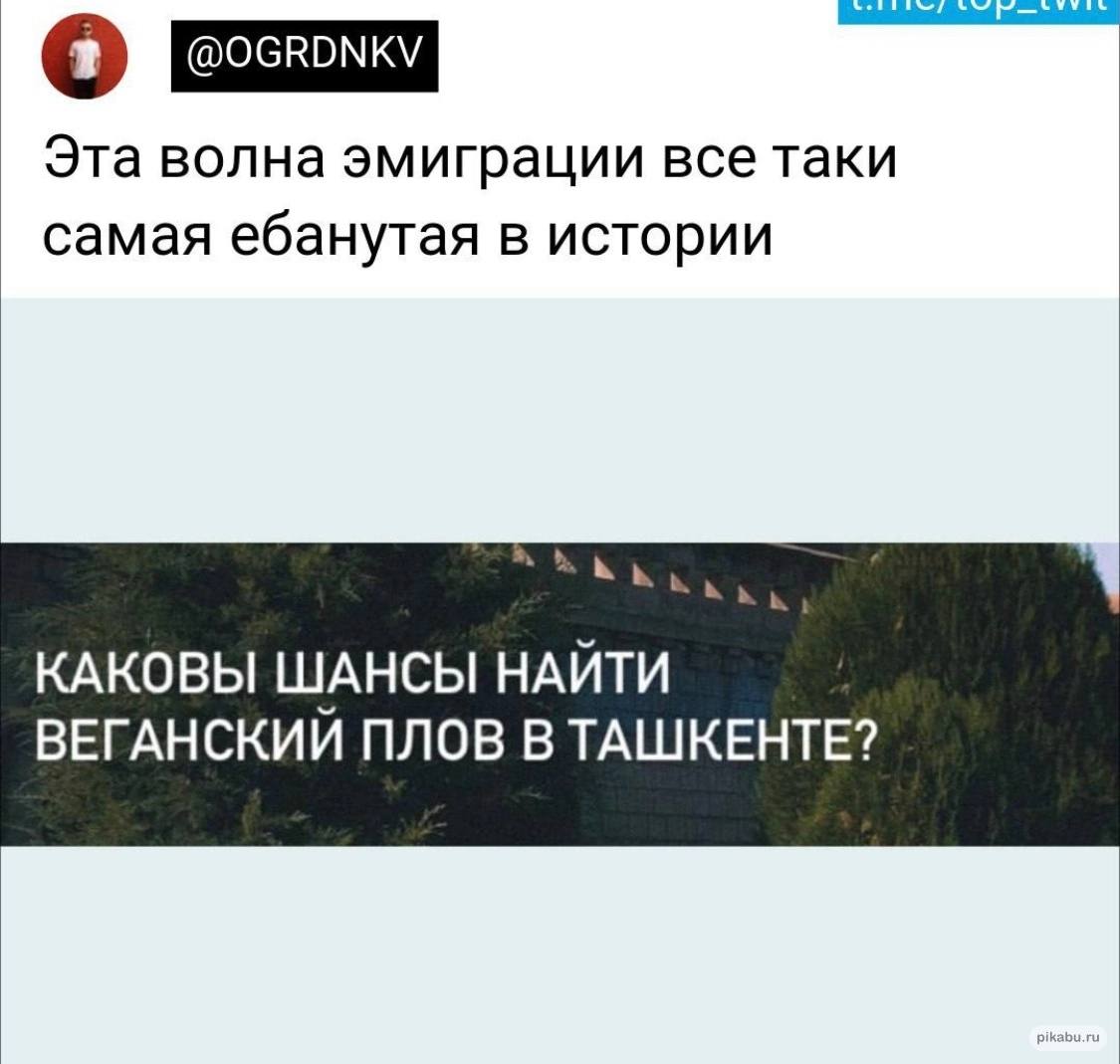 о Эта волна эмиграции все таки самая ебанутая в истории КАКОВЫ ШАНСЫ НАЙТИ ВЕГАНСКИИ ПЛОВ В ТАШКЕНТЕ?