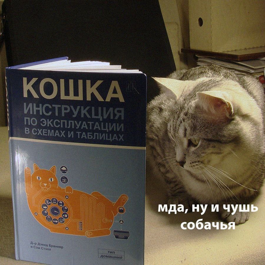 мда, ну и чушь собачья